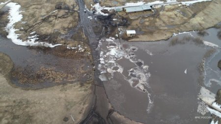 ��� ��������� ����������� ������ � �������