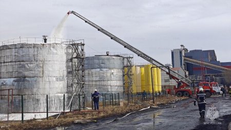 ��� ������ ������� �������-����������� ������ �� ������� ���������������