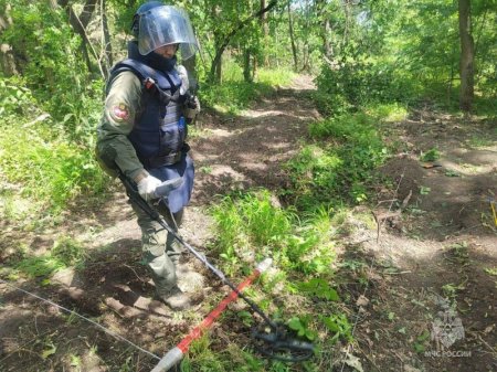 �� ������ ������������: ������ ������������ ���������� ������������� ������ � ����������� ��� ������� ������������ ��� ������