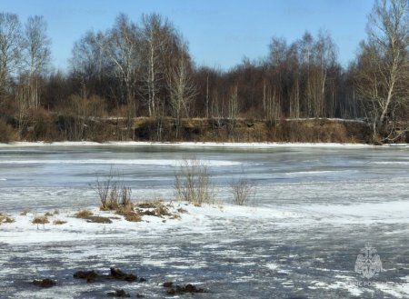 � ������� ����������, ����������� �� �������� ��������� ������� � ������ ������, ���������� ���������� ����