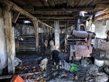 ��������� ������������ 200 ������� �� ������ ���������� � ����