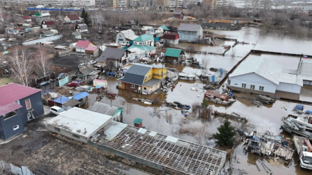 ���������� �������� � ������������ ����