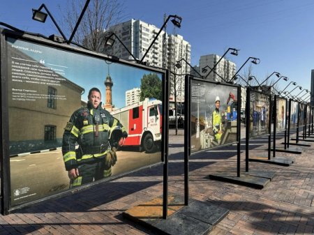 �������� ����������� �������-������������� ��������� ������� ������������ �� ��������� ������� «������ �����» ��������� ���������� ���������