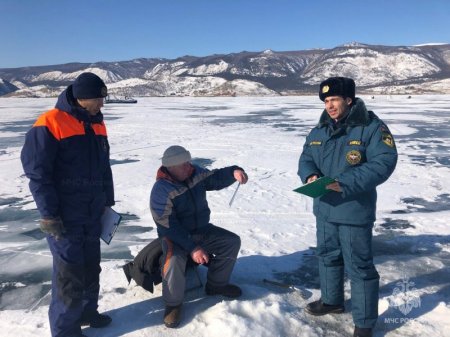 ������� ���������� ���������������� ����� ��������� �������� �� ������ �������� � ������ ����� «���������� ���»