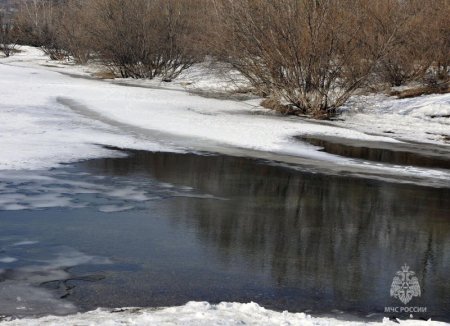 ������� ����� � ������ ��������� � ��������� ����� �� ���������� ��������� �������