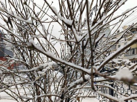 ��������� �������� ������� ������������ ����������� � ��������� ������� 21 �����