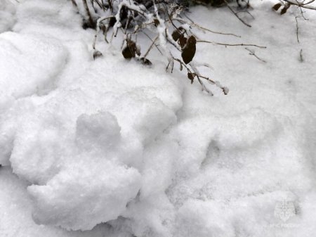 �������� �����, ����, ������ ���� � ������ ��������� � ���� ������� ��������� ������� 19 �����