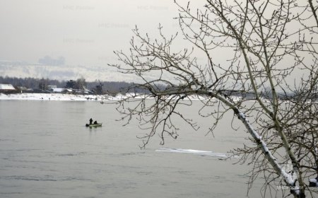 � ��������� ������� � ������������ ��� ��������� ��������� �� ���� ������