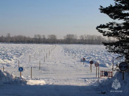 � ������������ ���� ����������� ������� ���������