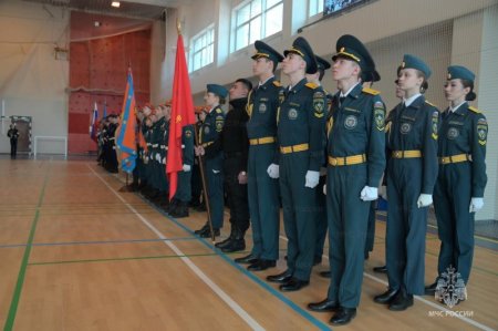 � ������ ������ IX �������� ��������� �������