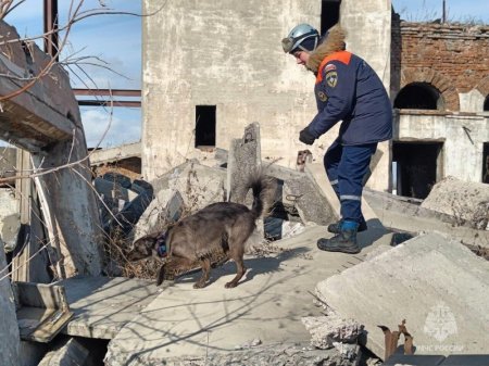 � ��������� ������������ ��������-������������ ����� ������� ����� ������� � ������