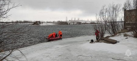 � ������������� ������������� ����������� ��������� �������