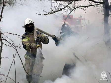 ������������� ��������-������� ������ �� ����������� ����������������� ����������� � �������������� ��������� ������� ����������� � �������� ������