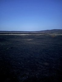 ������������ ������� ���������� ����������� � ��������-������������� ������