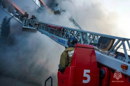 260 ��� �������� �������� ��������