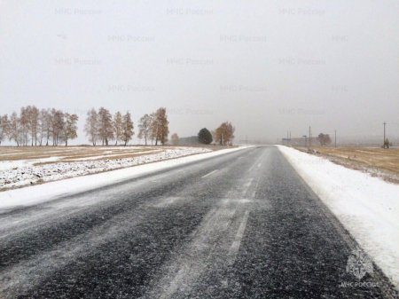 4 ������ ������� �� ������� ��������� ������� ��������, ������-�������� �����, ������ ���� � ����