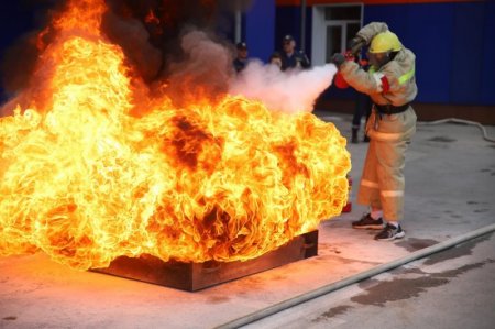 ����� ������ �. �. ��������: � ������������ ������ 11‑� ������������ �� ������� ������������