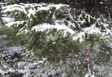 ��������������� �������� ������� ��������� � ���� ������� ��������� ������� 24 ������