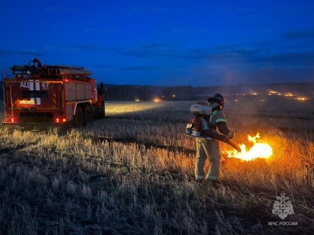 ������� ������������ ���������� � ������������ ����