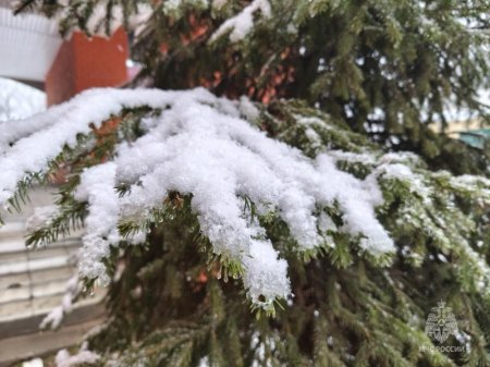 ������� �����, �����, ������ ���� � ���� ��������� � ���� ������� ������� 29 ������