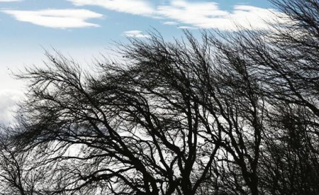 �������� ����� ��������� � ���� ������� ��������� ������� 2 ������