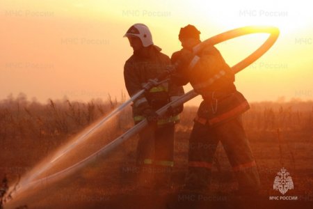 � �������� �������� ����� ������� ����� ���������