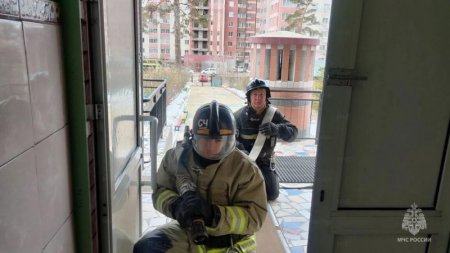 ������������� ���� ������ ������� �� ������������� ������� �� ������������ ��������������� ���������� � ���� ������ �����