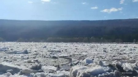 � ���������� ����������� ��������� ��������� � ����������� ������� ���� �������� ���������� ������� �������, ���������� ���������� �������� ���������