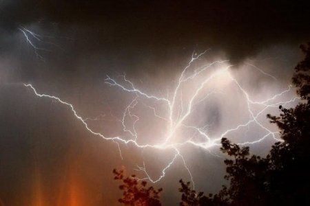 ��������� ������ 6 ���� ������������ ����������� ���������� ����