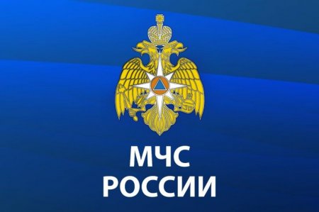 ���������� ��������� � ���� ������ �� �������� ������������, ��������������� ���������� � �������������� ���������������� ����������