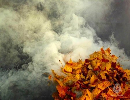 ��� ������ ����������: ����������� ������ ������� � ��������� ������