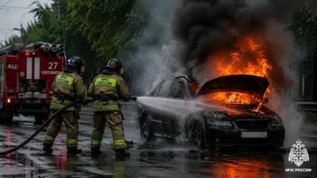 � ������ �������� � ������������� ������� ��������� ������������� 28 �����������